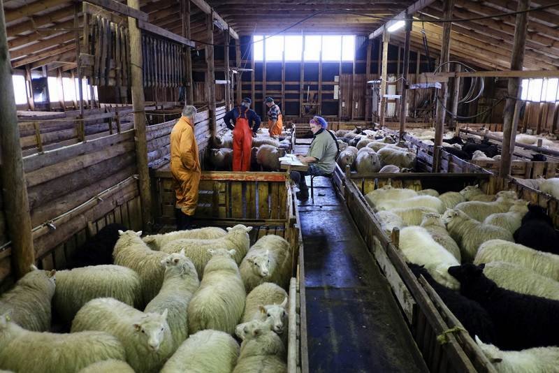 Mynd af vef stjórnarráðsins/Golli.