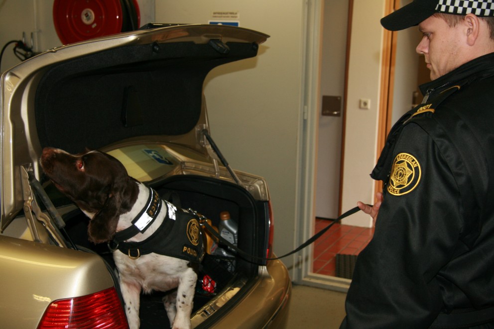 Fíkniefni fundust á Sauðárkróki