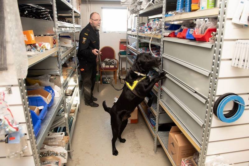 Fíkniefnahundur í þjálfun. Mynd af FB síðu Lögreglunnar á Norðurlandi vestra.