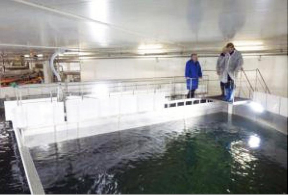 Mynd af heimasíðu Háskólans á Hólum.