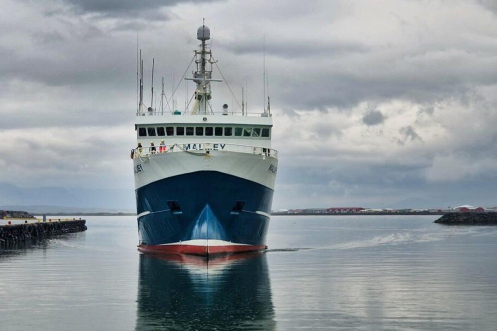 Málmey rennir í höfnina á Sauðárkróki. MYND: FISK.IS