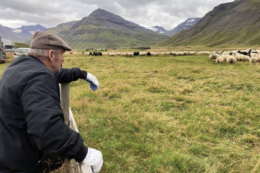Númi Jónsson, fyrrun bóndi á Þrasastöðum, lítur yfir safnið. MYND: HALLDÓR GUNNAR