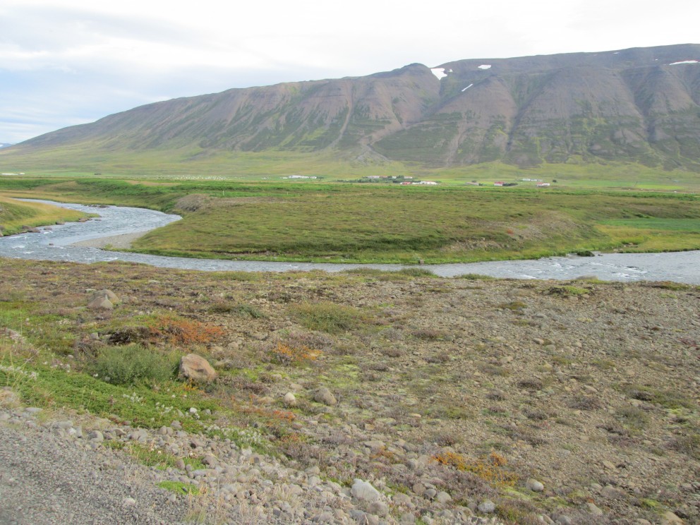 Bjartsýnir á að ekki verði mikið kal