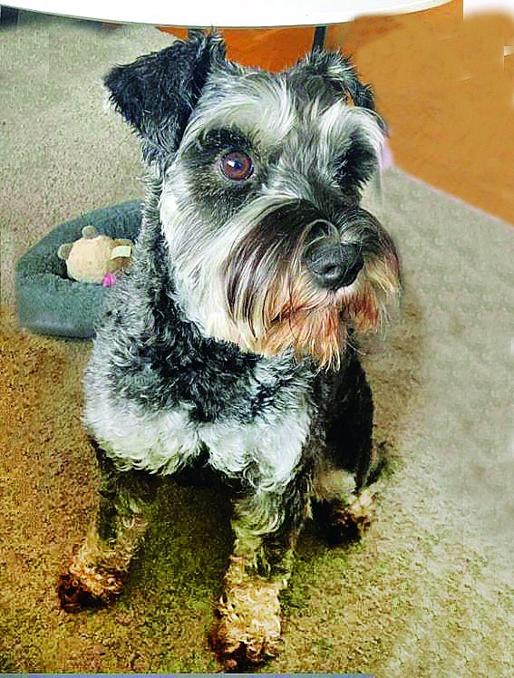 Freyja sæta. Myndir aðsendar.