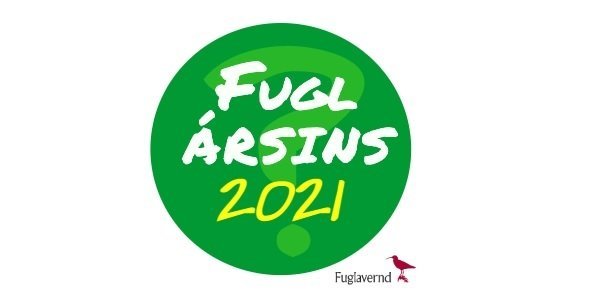 Leitin að Fugli ársins 2021 er hafin