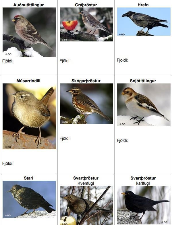 Fuglavernd hefur útbúið hjálparblað með myndum sem hægt að nálgast á fuglavernd.is