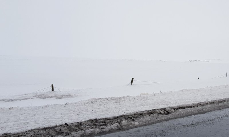 Enn er mikill snjór á Norðurlandi og girðingar víða á kafi. Hmf. Skagfirðingur vill koma þeim skilaboðum til allra að fara varlega með flugelda ef hross eru í nágrenninu. Einnig ættu hrossaeigendur að gera ráðstafanir ef hross eru nálægt þekktum skotsvæðum. Mynd: PF.