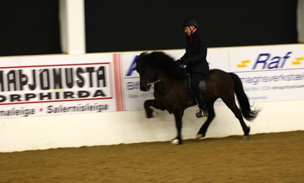 Gísli Gíslason og Trymbill sigruðu í gæðingafimi