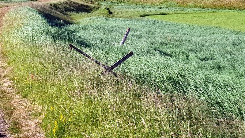 Myndin tengist fréttinni ekki beint. PF.