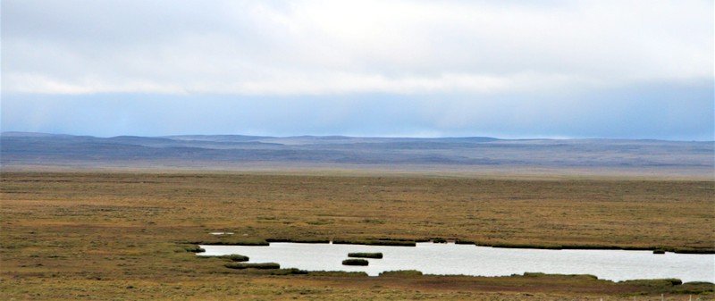 Guðlaugstungur, ásamt Svörtutungum og Álfgeirstungum (Ásgeirstungur) hafa mjög hátt alþjóðlegt verndargildi og hefur verið Ramsarsvæði frá 2013 ásamt því að vera á skrá yfir alþjóðlega mikilvæg fuglasvæði (International Bird Area), segir á vef Umhverfisstofnunar en þaðan er meðfylgjandi mynd af svæðinu tekin.