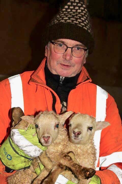 Guðmundur Jósson, bóndi á Óslandi, með tvö nýfædd þorralömb. Mynd: Hrafnhildur B. Jónsdóttir.