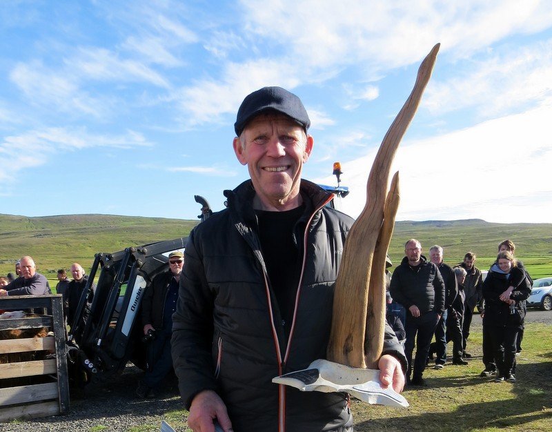Íslandsmeistari í hrútaþukli 2022 Gunnar Steingrímsson Stóra-Holti í Fljótum.