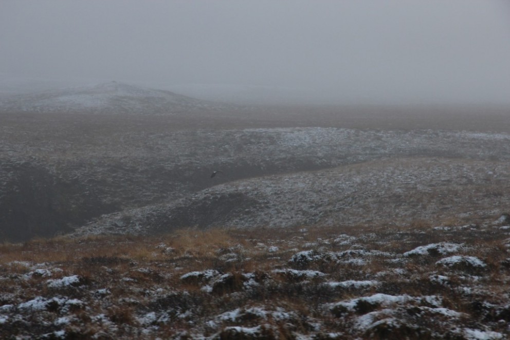 Úr Miðfirði. Mynd: BÞ