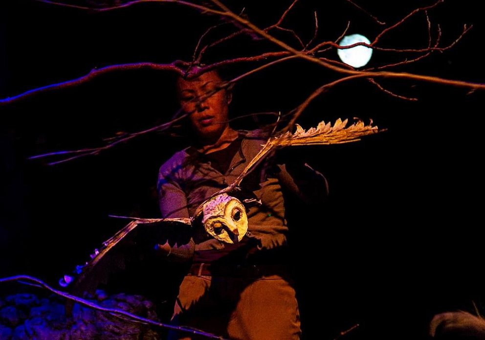 Mynd af Facebook-síðu Handbendi brúðuleikhúss.