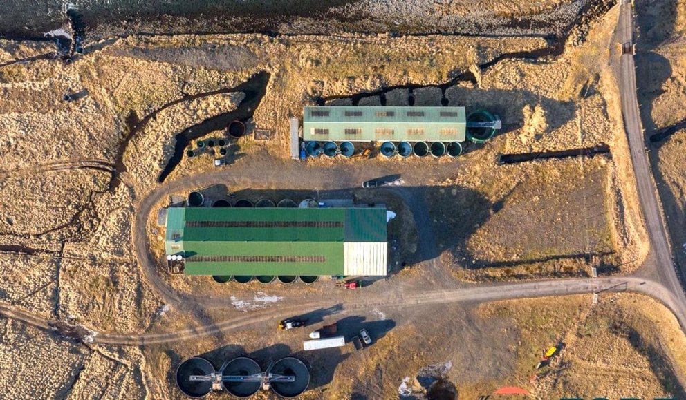 Séð yfir eldisstöðina á Hólum sem nú er til sölu. MYND AF NETINU