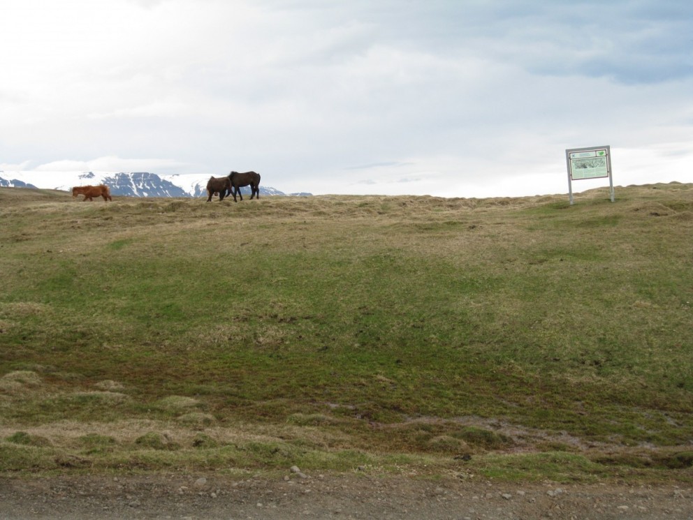 Deiliskipulag Hegranesþingstaðar