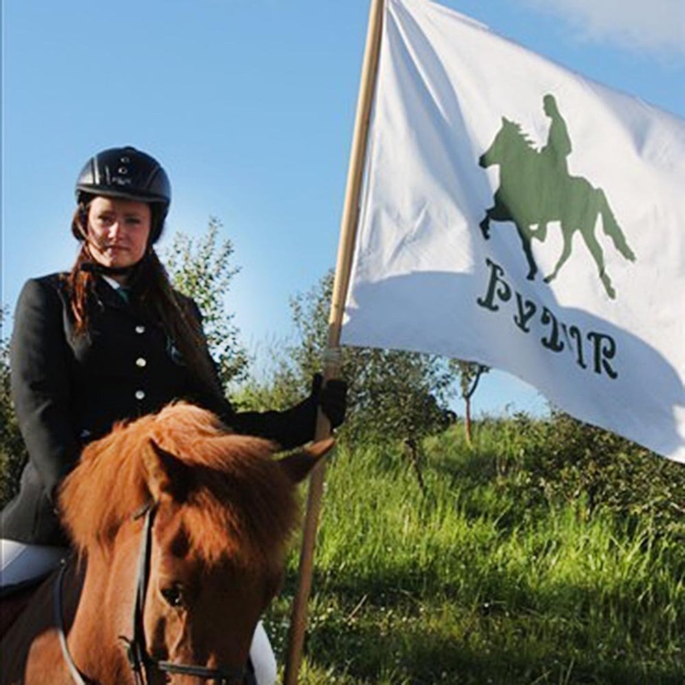 MYND AF SÍÐU HESTAMANNAFÉLAGSINS ÞYTS