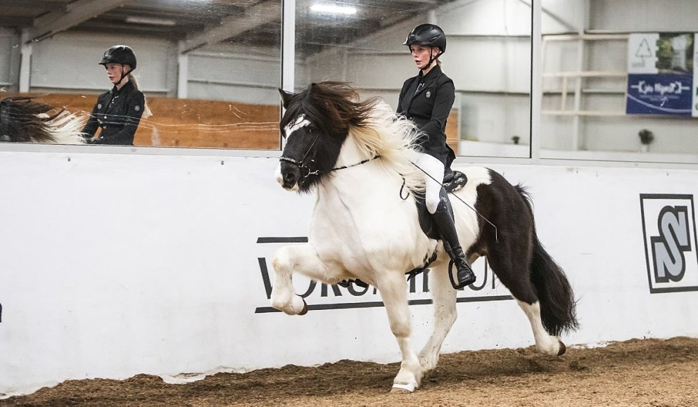 Lokamót Meistaradeildar KS er annað kvöld. Hér eru Þórgunnur Þórarinsdóttir og Náttfari frá Varmalæk að keppa í V1. MYND AF SÍÐU MEISTARADEILDAR KS