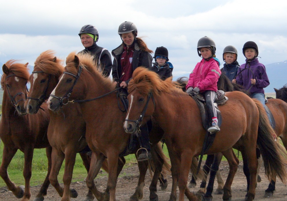 Starfræktur í 30 ár