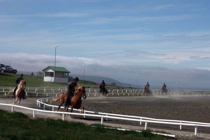 Mynd: Hestamannafélagið Þytur, Facebooksíða.