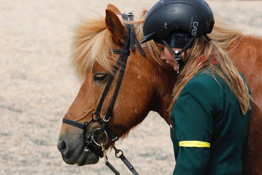 Hestur og knapi. MYND: ÓAB