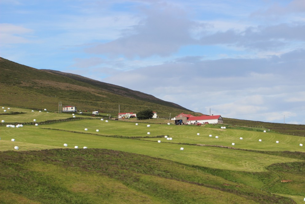 Þessi mynd var tekin á Veðramóti í Gönguskörðum í síðustu viku. Mynd: KSE