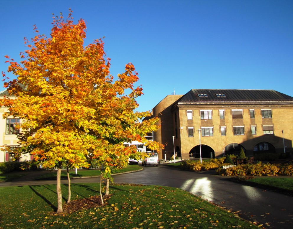 Kynning á háskólanámi í Noregi