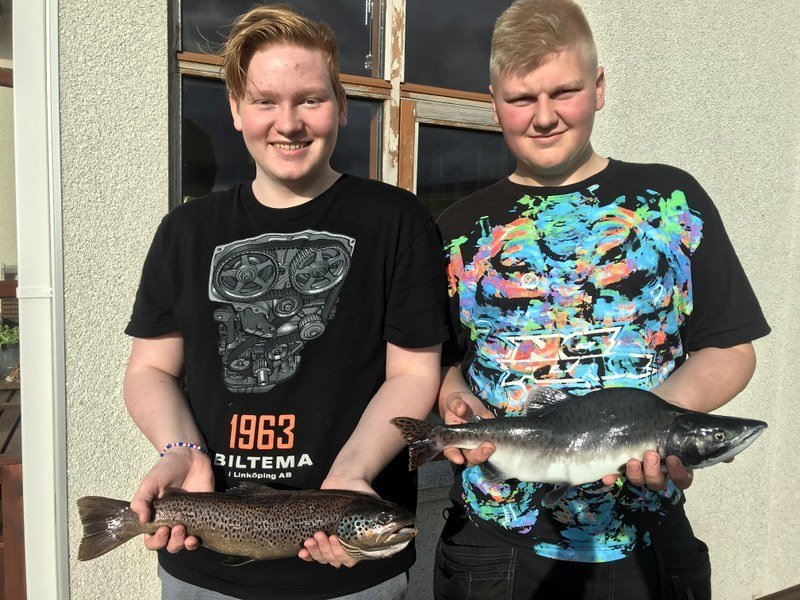 Hér heldur Helgi á urriðanum en Stefán Ármann handleikur hnúðlaxinn. Myndir aðsendar.