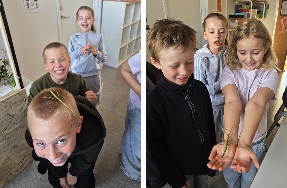 Hananú! MYNDIR AF VEF HÖFÐASKÓLA