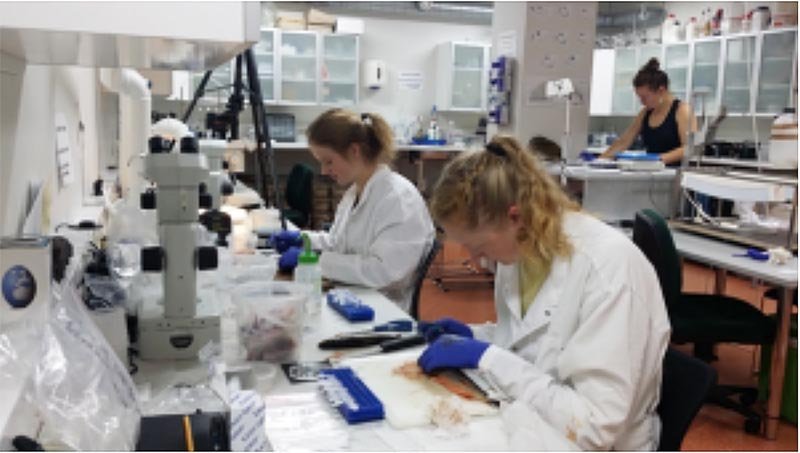 Erlendir verknemendur vinna að rannsóknum. MYND: HÓLAR.IS