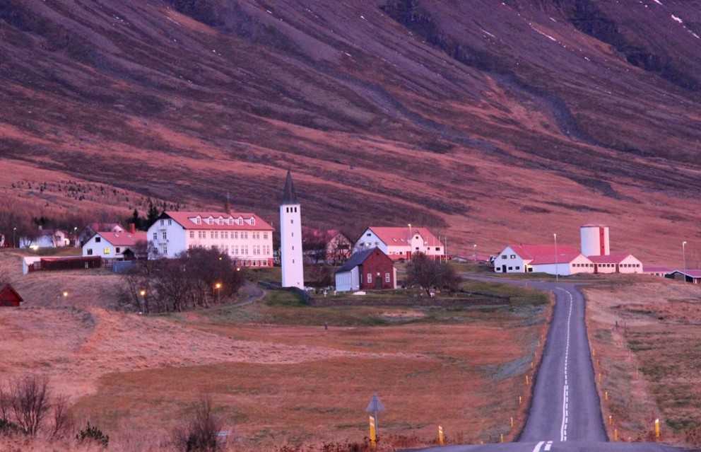 Jafnvægi verndunar íslenskra sela og hagnýtingar þeirra við selaskoðun