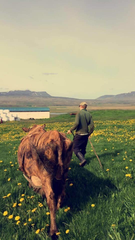 Mynd úr Blönduhlíð. Mynd: SMH