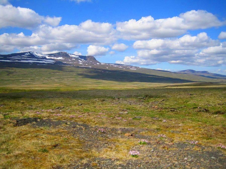 Af Holtavörðuheiði. MYND AF HÚNI.IS