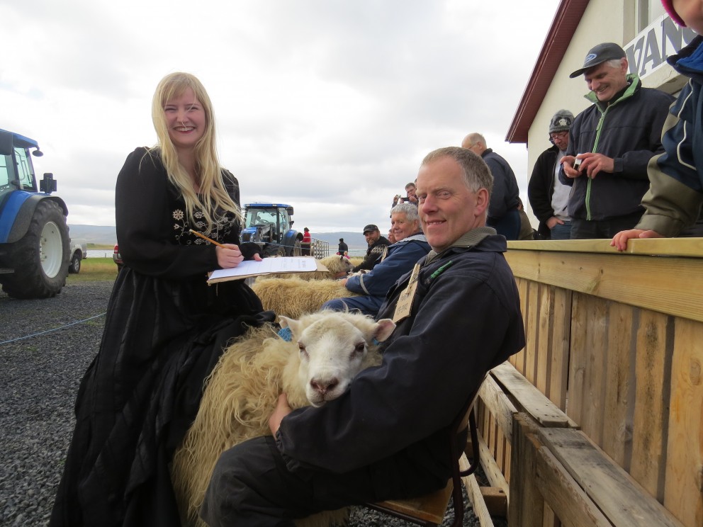 Íslandsmót í hrútadómum sunnudaginn 16. ágúst