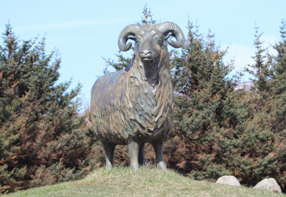 Heilsubót í Húnaþingi vestra