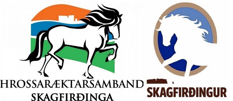 Æskulýðsnefnd Skagfirðings og HSS með uppskeruhátíð