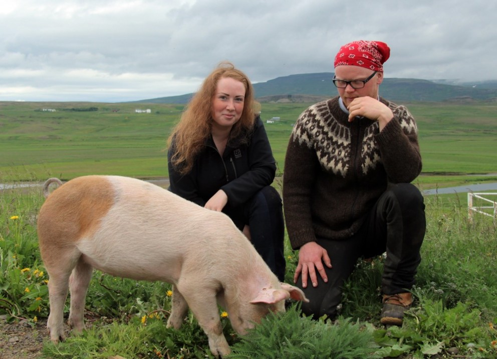 Dýrin bræða fullorðna jafnt sem börn