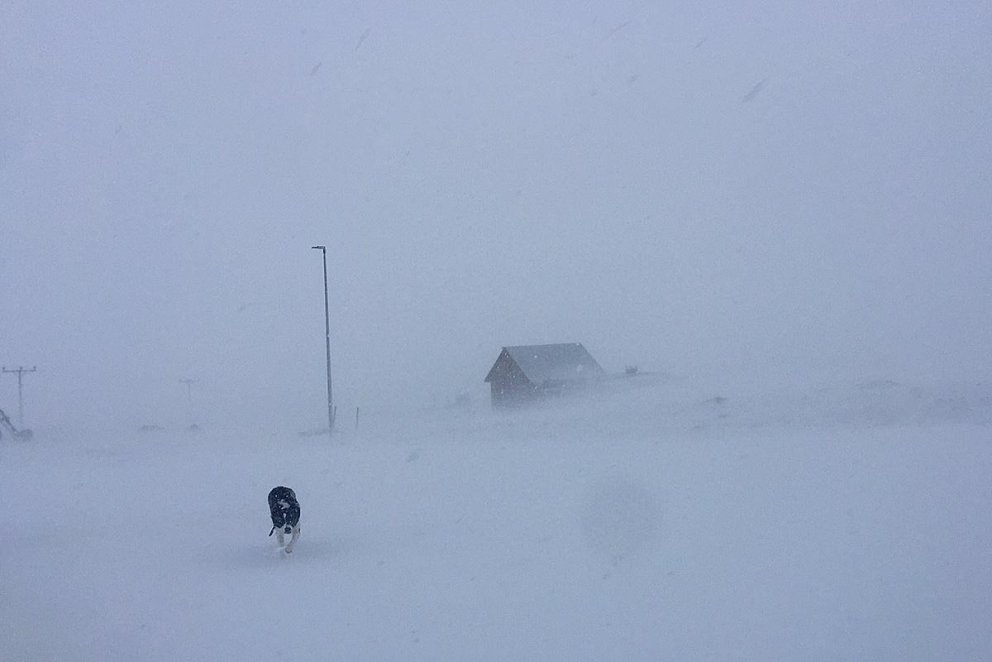 Svona var veðrið við Hvammshlíð í gær. MYNDIR: KARÓLÍNA