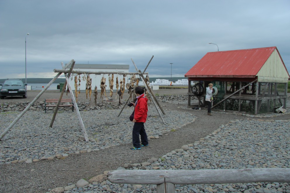 Frá Hvammstanga. Mynd: BÞ