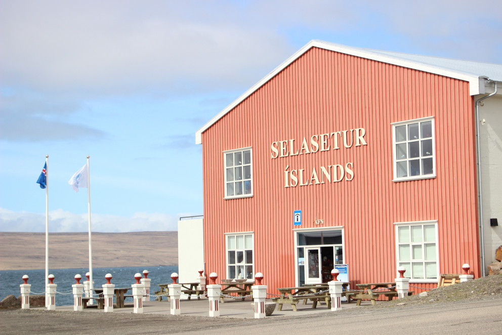 Upplýsingamiðstöð ferðamanna í Húnaþingi vestra er staðsett í Selasetri Íslands. Mynd: KSE