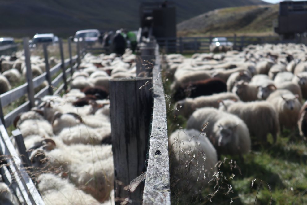 Myndin tengist frétt ekki. GG