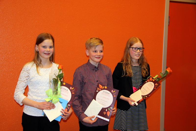 Verðlaunahafarnir Þórgunnur, Vignir Nói og Lydía. Mynd:FE