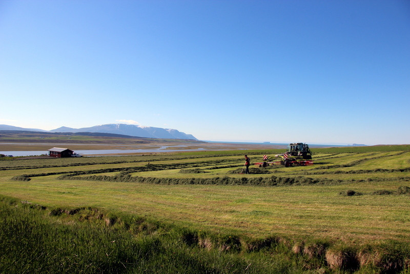 Heyskapur á Ytri-Hofdölum í blíðunni í gær. Mynd:FE