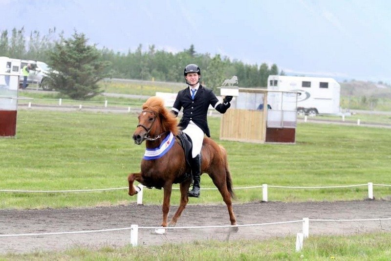 Eldur frá Íbishóli eftir sigur á Fjórðungsmóti. Mynd: Brynja Gná Bergmann.