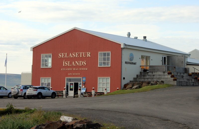 Selasetur Íslands á Hvammstanga. Mynd:FE