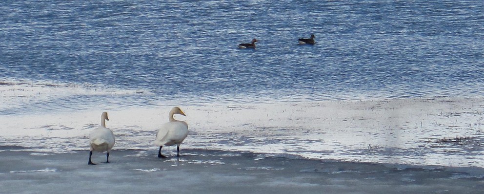 Fönnin í Fljótunum