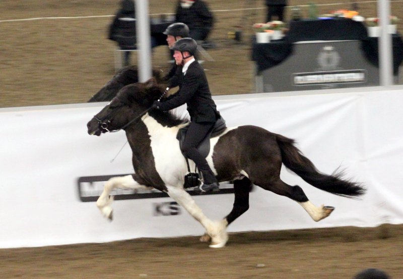 Þórarinn og Þráinn sigruðu í fimmgangi Meistaradeildar KS í gær :: Grípa þurfti til sætaröðun dómara til til að knýja fram sigurvegara