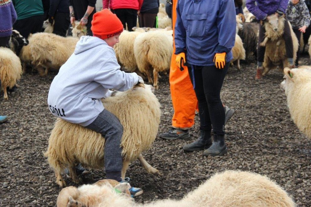 Miðfjarðarrétt - Myndir