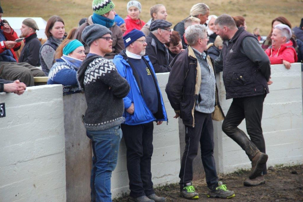 Réttað í Víðidalstungurétt - Myndasyrpa