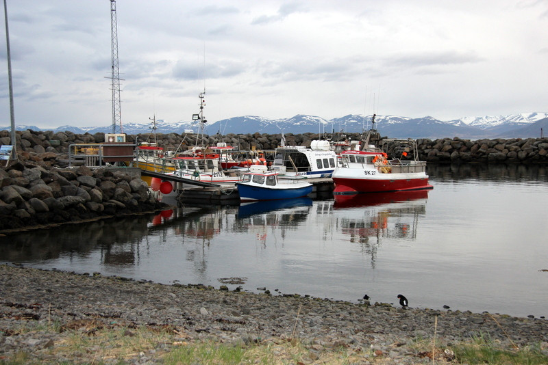 Við höfnina á Hofsósi. Mynd:FE